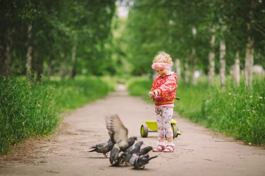 the little girl feeds pigeons there is a green bicycle nearby