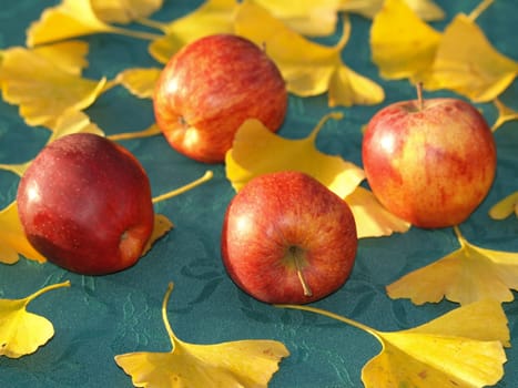Still Life - Boskoop Apples