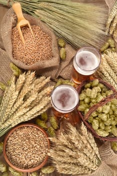two beer glasses with wheat,barley,hops and malt