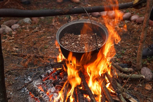 Boiling beans in a cauldron in the forest