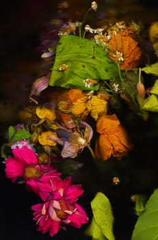 Old flowers