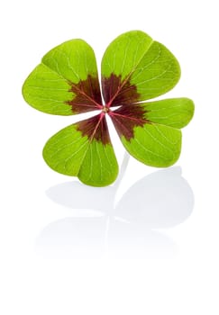 Four-leaf clover