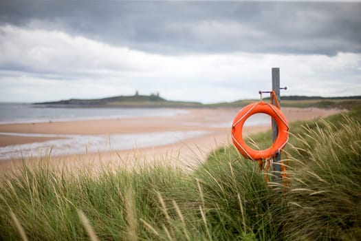 Beautiful picture of the coast.