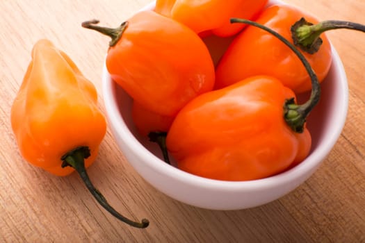 Approach and details a set of chiles habaneros. Typical of mérida, yucatán. is a pepper very spicy and powerful taste.