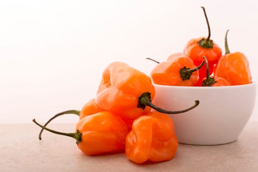 Approach and details a set of chiles habaneros. Typical of mérida, yucatán. is a pepper very spicy and powerful taste.