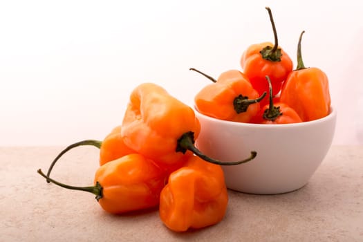 Approach and details a set of chiles habaneros. Typical of mérida, yucatán. is a pepper very spicy and powerful taste.