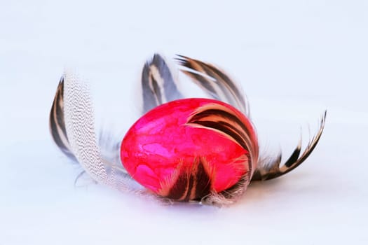An Easter nest of feathers - A pink Easter egg with feathers