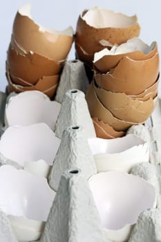 Empty eggshells in an egg carton - A lot of brown and white eggshells