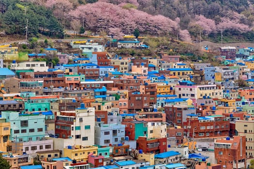 Gamcheon Culture Village, Busan, South Korea.