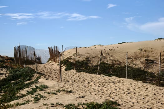A limited path with trampling tracks leads over dunes to the beach.