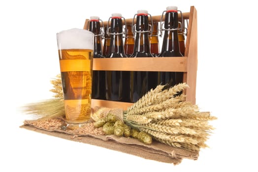 Beer carriers and beer glass with wheat,barley,hops and malt Insulated On White