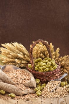 Beer ingredients - wheat,barley,hops and malt