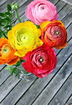 Ranunkel blumenstrauß in front of a wooden background from a bird's eye view