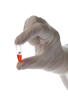 Hand with testtube sample isolated on white