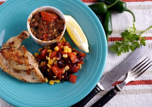 Organic Fried chicken with salsa salad and sauce