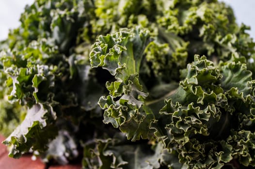 Organic raw kale, ready for healthy cooking