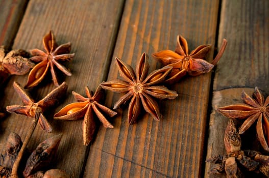 staranise, warm aromatic spice or as decor material