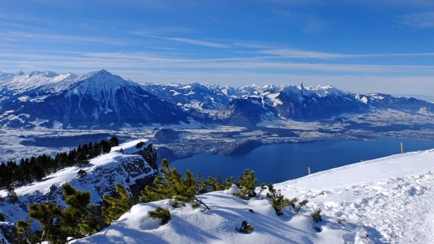View from the Niederhorn to Lake Thun