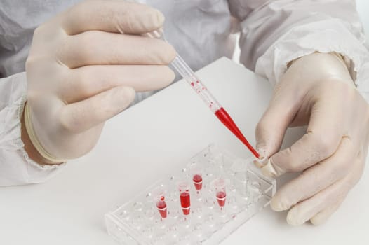 hands testing bloody lab sample with gloves