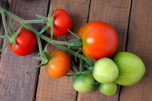 Fresh home grown tomatoes. Red, green, closeup