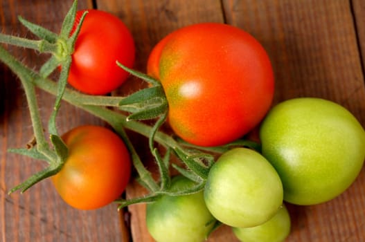 Fresh home grown tomatoes. Red, green, closeup