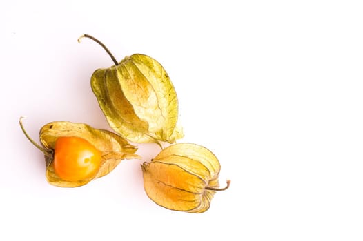 Helathy fresh Gooseberry Cape isolated on white