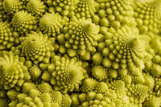 Romanesco Broccoli or cauliflower. closeup and background