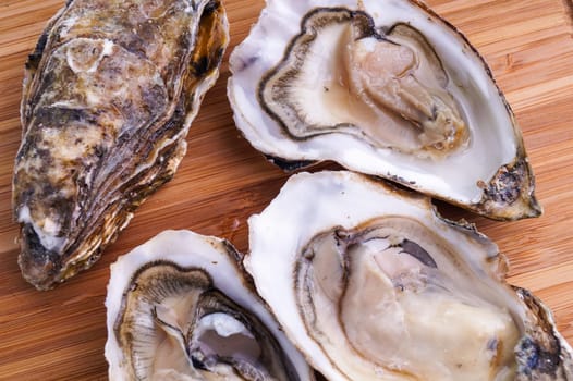 Gourmet fresh french oysters on a wooden board