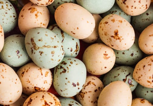 Easter Egg close up. Colorful Holiday eggs