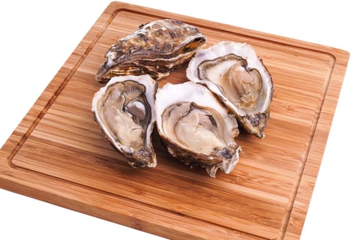 Gourmet fresh french oysters on a wooden board