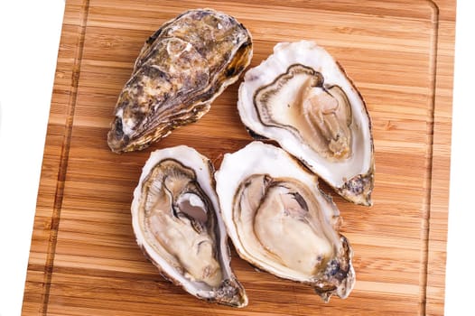 Gourmet fresh french oysters on a wooden board