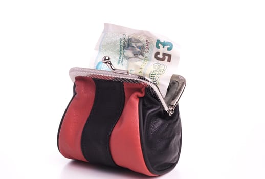 Money in Purse. European Currency isolated on White
