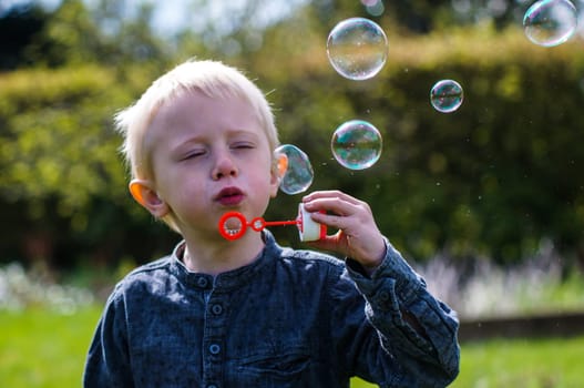 A Little boy blows soap bubbles in the garden on a summer day. He wears a blue shirt and is happy