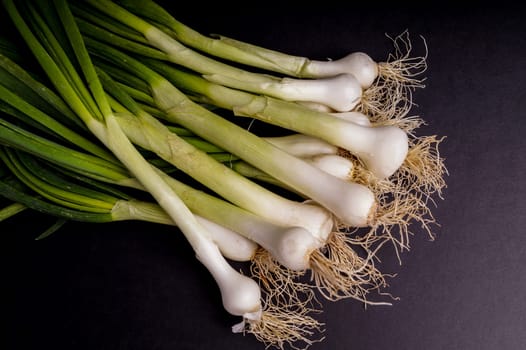 Fresh Organic spring onion Isolated on Black