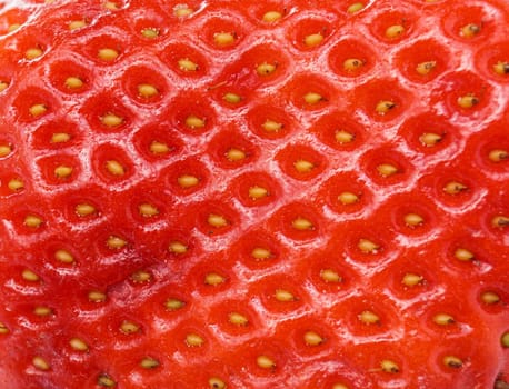 Super red healthy Organic Strawberry close up