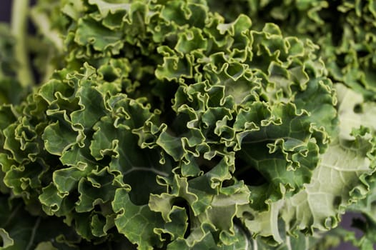 Super Healthy Organic Kale, close up, background
