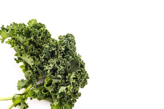 Super Healthy Organic Kale, isolated on white