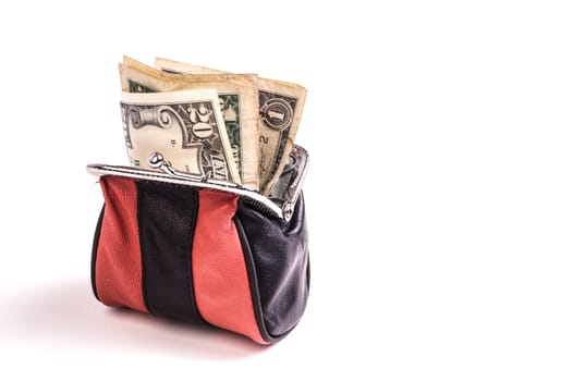 Purse with Dollar Bills, a nest egg and money for payment