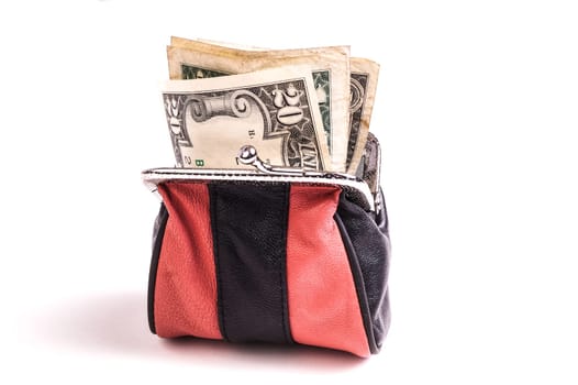 Purse with Dollar Bills, a nest egg and money for payment