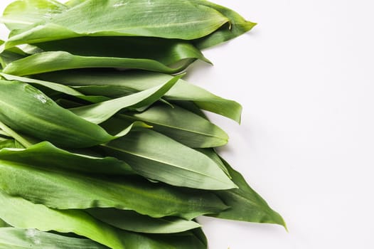 Bunch of Fresh Green Rams Onion or Ramsoms, A big ingredient in the New Nordic Culinary Arts and cuisine