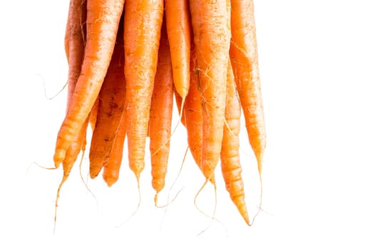 Bunch of Organic Carrots with Leaves. Isolated on White