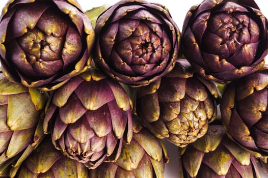 Pile of Purple artichokes ready for cooking, isolated