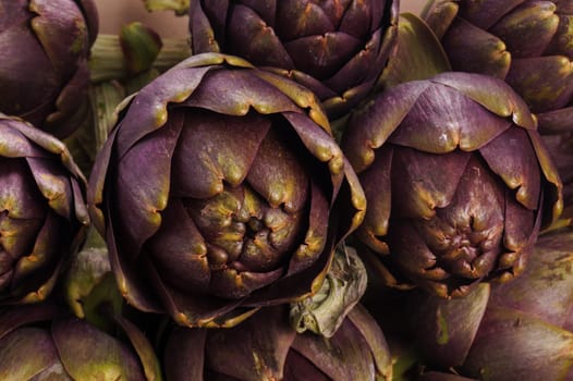 Pile of Purple artichokes ready for cooking
