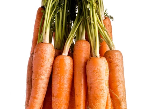 Bunch of Organic Carrots with Leaves. Isolated on White