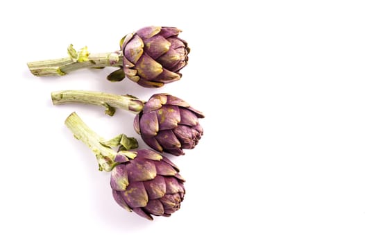 Three Purple artichokes ready for cooking, isolated on white