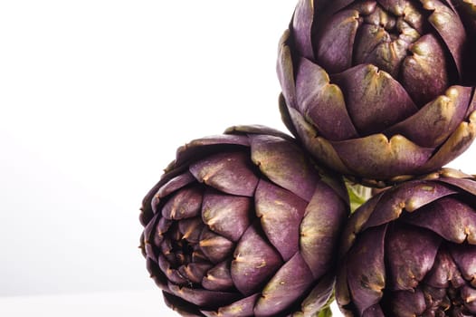 Three Purple artichokes ready for cooking, isolated on white