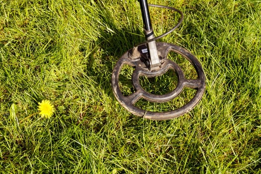 Metal Detector
