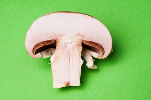 Brown field Mushroom, lying on green background and isolated