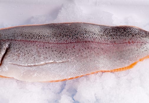 Whole shiny, fresh raw trout side lying on ice