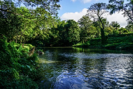 beautiful meandering stream or river in the Caribbean forest, with blue sky